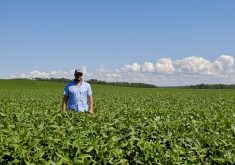 David Schill knows soybeans can be grown successfully in the near North and likely in the Clay Belt region.