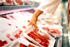 To minimize the impact of alternative proteins, the livestock sector should invest in research that addresses consumer concerns: ensuring and documenting the good health reasons to eat animal products, ways to lower the environmental impact of livestock production, and production methods to improve animal welfare.
