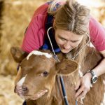 Province introduces legislation to modernize veterinary technician profession