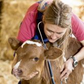 Province introduces legislation to modernize  veterinary technician profession