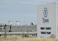 American beef exporters such as Tyson Foods have faced a double whammy from higher prices and the strength of the U.S. dollar, which makes their products less attractive to other countries.