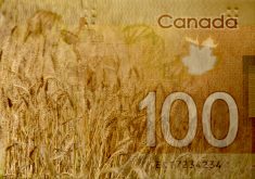 Growers are starting to feel the pinch of inflation, high interest rates and rising labour costs.