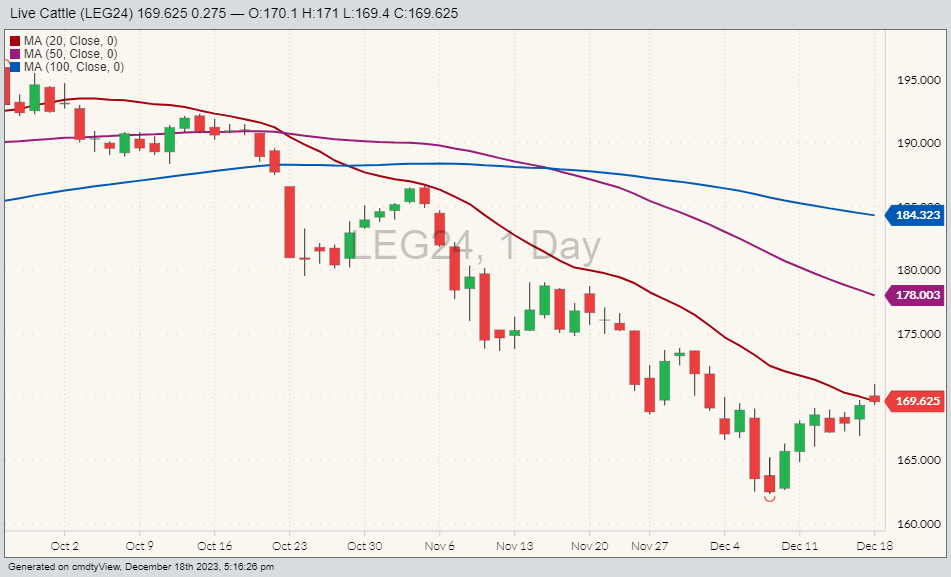 Live cattle LEG24 for Dec. 18 with moving averages for 20, 50 and 100 days. (Barchart)
