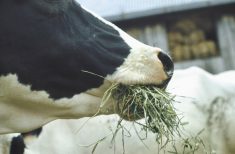 The livestock industry has already set voluntary emissions reduction targets.