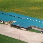 This is the main barn at Denfield Livestock Exchange north of London, Ont.