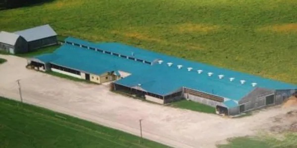 This is the main barn at Denfield Livestock Exchange north of London, Ont.