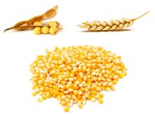 Photo: Thinkstock