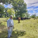 Ann Clark offers custom grazing at her farm in Warkworth, Ont. She says she has moved approximately 30 Angus cow-calf pairs, plus a bull, between 150 and 200 times per pasture season for 13 years.