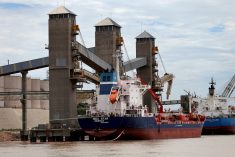 Grain is loaded onto ships for export at a port on the Parana River near Rosario, Argentina on Jan. 31, 2017. (File photo: Reuters/Marcos Brindicci)