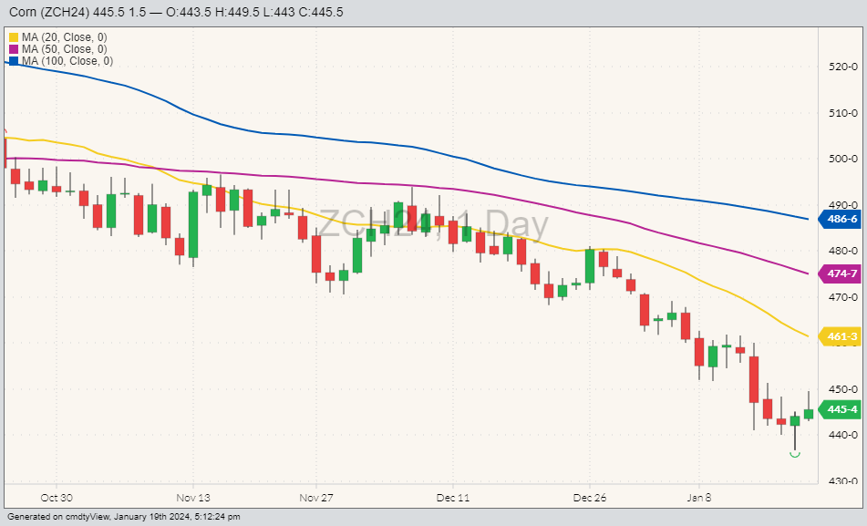 CBOT corn ZCH24 on Jan. 19 with 20, 50 and 100-day moving averages. (Barchart)
