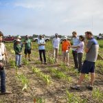 Researchers from USDA Agricultural Research Service, University of Illinois, and the private sector discuss the first public report of severe tolpyralate sensitivity in corn.