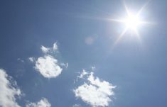Photo: iStock