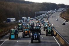 French farmers drive their tractors on a highway as they protest over price pressures, taxes and green regulation, grievances shared by farmers across Europe, in Longvilliers, near Paris, France, January 29, 2024. REUTERS/Sarah Meyssonnier
