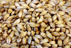 Photo: Thinkstock