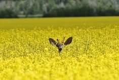 (PamWalker68/iStock/Getty Images)
