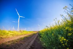 Photo: Zoranm/iStock/Getty Images