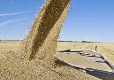World stocks of wheat, excluding China, have declined for four straight years, with inventories at their lowest level in 15 years.