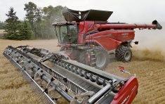 Case IH is introducing the AF11 twin-rotor with Class 10-plus threshing capacity