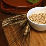 Spelt can achieve similar yields under organic management, but a 35 per cent hull content must be factored in.