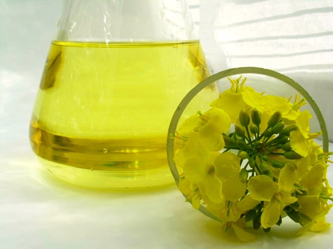 Photo: Thinkstock
