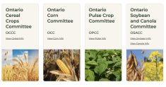 New website offers simpler way to access crop performance trial data