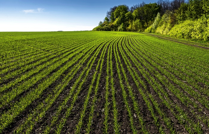 New technological methods will be able to provide estimates of how much carbon is in fields.