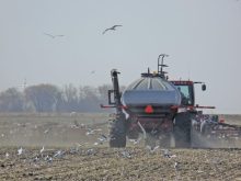 Organics: Planting decisions still to be made