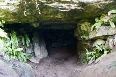 The entrance to Oweynagat, otherwise known as Cave of the Cats, was branded “the gate to Hell” by the medieval Irish church. Samhain, the origin festival for Halloween, is said to originate from this cave. The cave itself sits inconspicuously in a small hedgerow near a Rathcroghan farmer’s home.