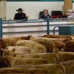 (HLS.ca/virden)