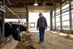 Dairy farmer Brent Pollard walks past and examines the cow pen at a cattle farm in Rockford, Illinois, U.S., April 9, 2024.  REUTERS/Jim Vondruska