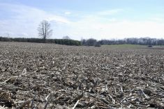 Some growers want to start field work but it’s still too early for most preparations.