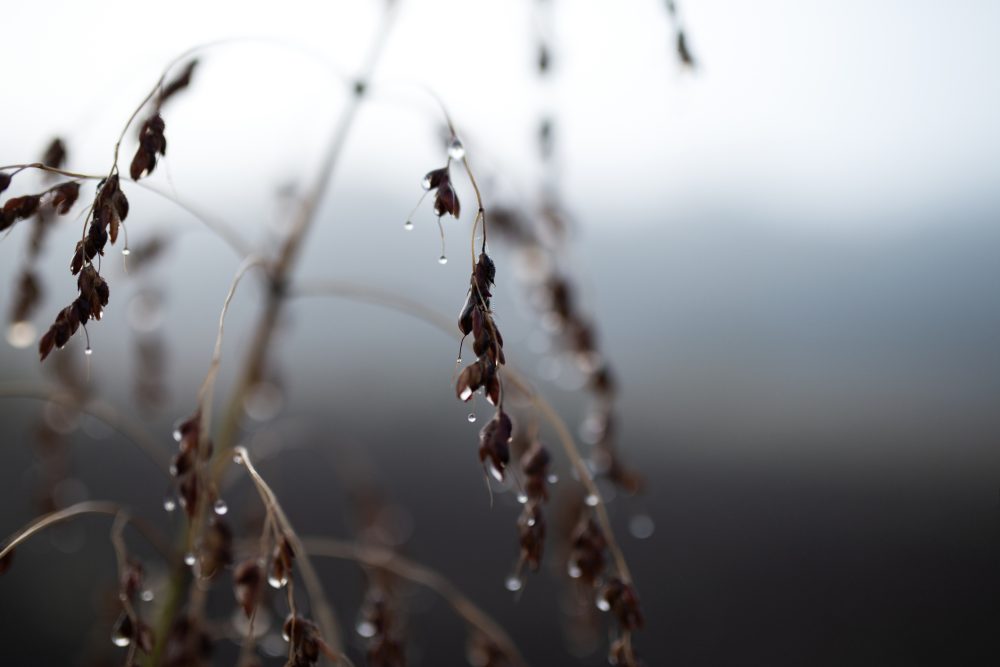 Photo: Yarphoto/iStock/Getty Images
