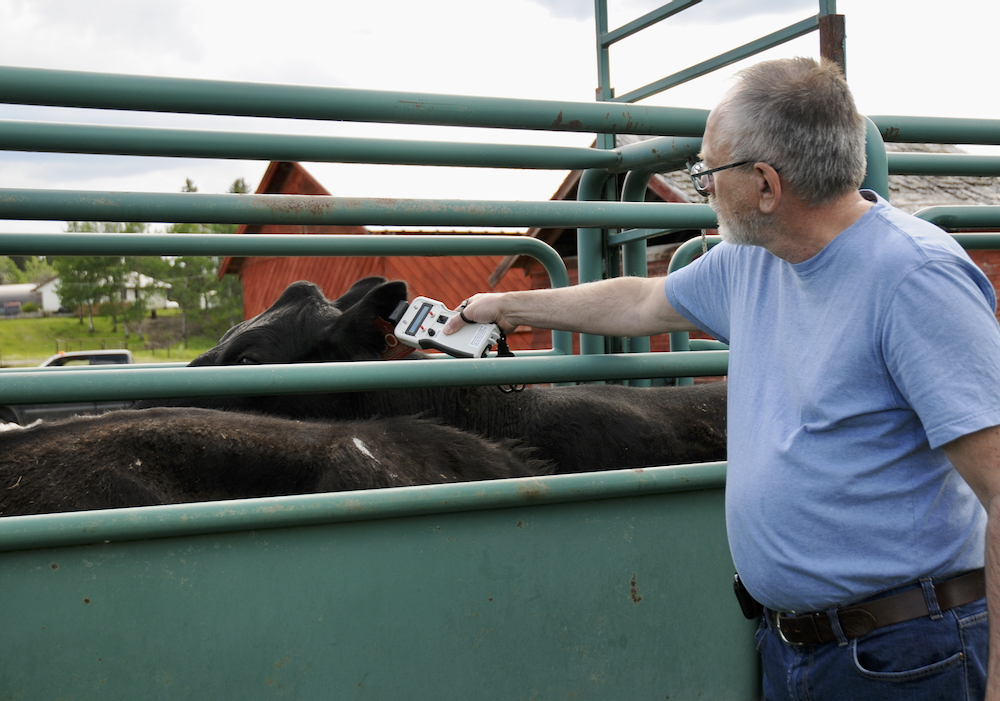 Mark Olson, president of Flokk Systems, reads an RFID tag with the Flokk reader.