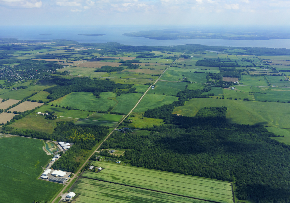 “Municipalities have very broad powers to expropriate. The main question is not can they take it, but how much you’ll get paid…” – Alex Ciccone.