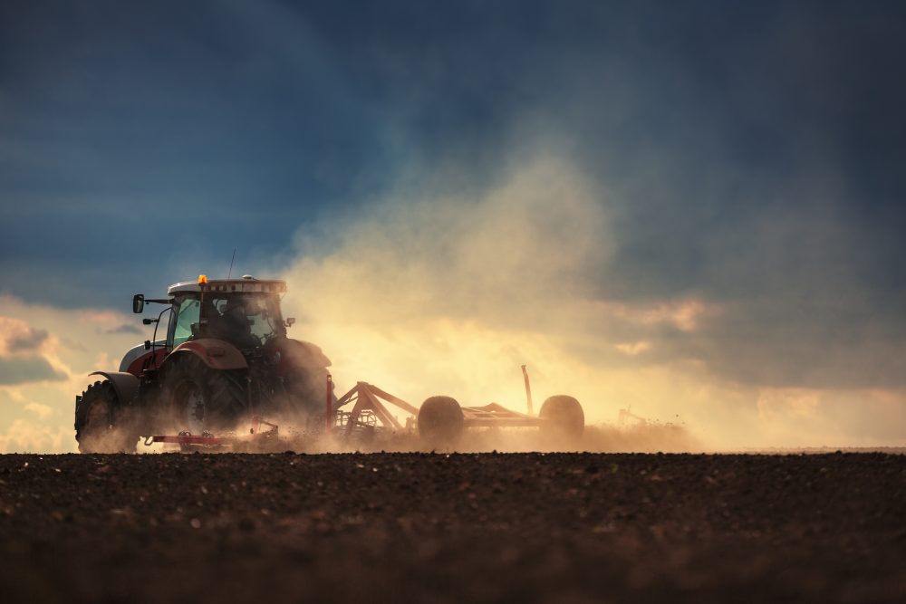 Photo: valio84sl/iStock/Getty Images Plus
