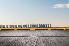 File photo of grain bins in Saskatchewan. (Chinaface/iStock/Getty Images)