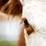 Photo: emholk/iStock/Getty Images