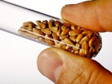 Photo: iStock