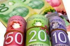 Investments aim to grow Ontario agriculture and food exports
