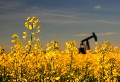 Photo: iStock
