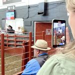 A woman films an auctioneer chanting on her phone
