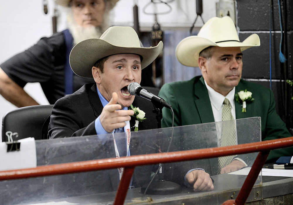 An auctioneer wearing a cowboy hat points to a bid while chanting into a microphone during a cattle auction