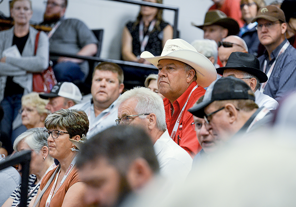 A man in a cream coloured cowboy hat and strong red shirt sits a head above those around him, watching the auctioneers