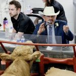 A cow looks into the booth where an auctioneer wearing a suit and cowboy hat chants and calls out bids