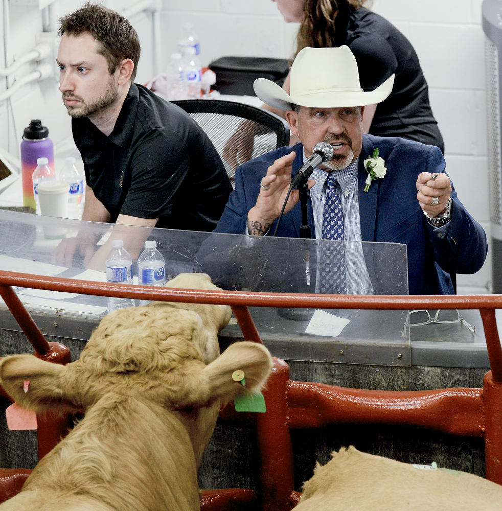 A cow looks into the booth where an auctioneer wearing a suit and cowboy hat chants and calls out bids