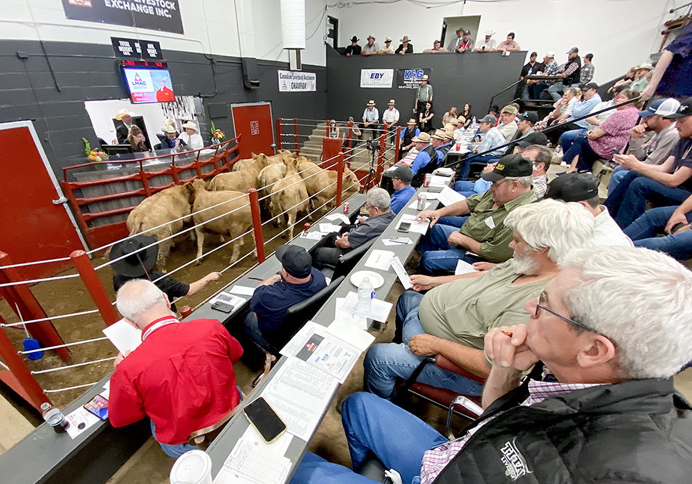 Buyers, sellers and spectators packed the Ontario Livestock Exchange cattle sale.