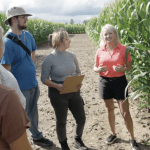 New faculty boosts field crop entomology expertise
