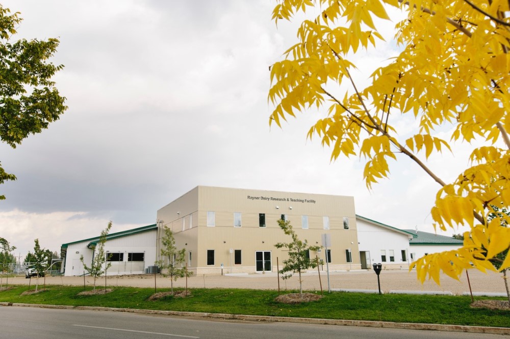 The Rayner Dairy Research and Teaching facility is where Greg Penner conducts his research.