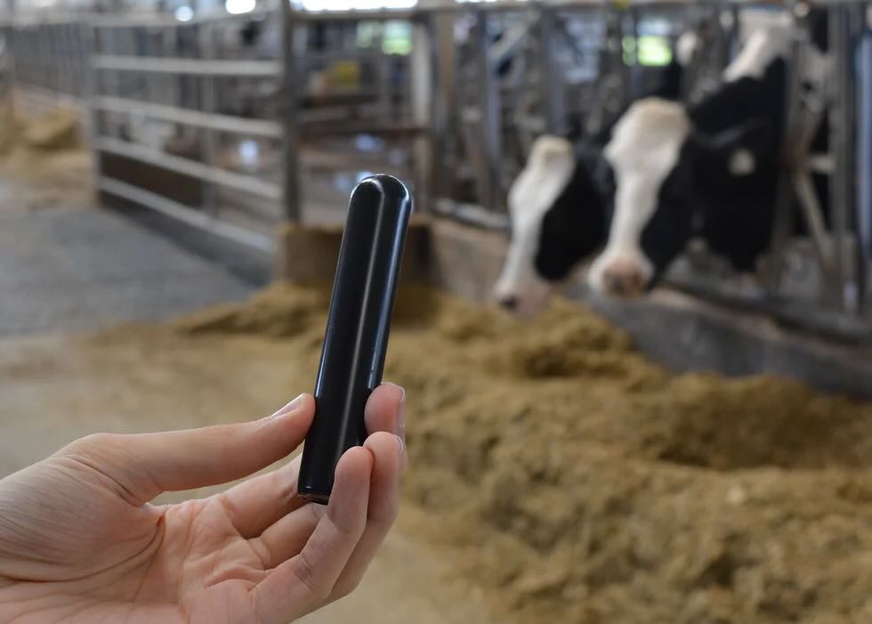 Cattle Scan boluses are put into the cow and the data is read in the barn with an antennae.