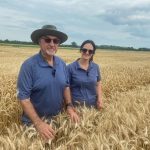 Albert Tenuta, OMAFA Provincial Field Crop Pathologist and Joanna Follings, OMAFA's Provincial Cereals Specialist say environmental conditions mean fusarium head blight is at a greater risk in the Ontario wheat crop this year.